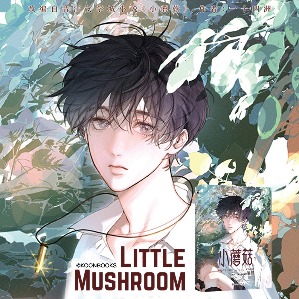 Little Mushroom KOONBOOKS little-mushroom-koonbooks